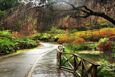 Discover Tour: Dandenong Ranges & William Ricketts Sanctuary - Tourism TAS 3