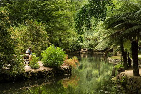 Discover Tour: Dandenong Ranges & William Ricketts Sanctuary - Tourism TAS 4