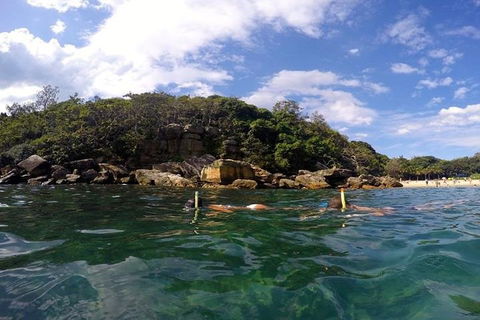 Manly And Shelly Beach Snorkeling Tour - Tourism TAS 4