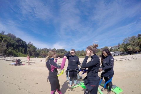 Manly And Shelly Beach Snorkeling Tour - Tourism TAS 5