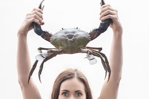 The Ultimate Gold Coast Attractions Pass - Tourism TAS 0