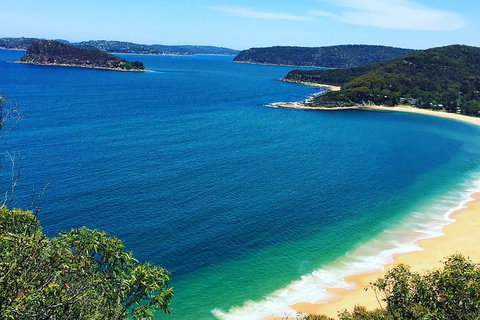 Central Coast Private Tour From Sydney, With Australian Reptile Park Option - Tourism TAS 5