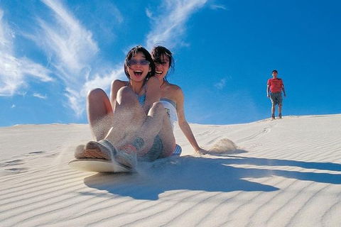 Pinnacles Desert, Koalas And Sandboarding 4WD Day Tour From Perth - Hobart Tourism 3