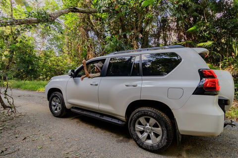 Full Day Cooktown Private Tour - Hobart Tourism 3