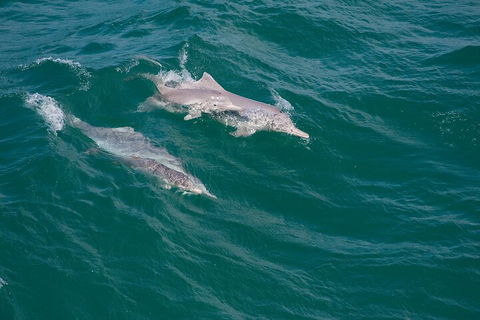 North Stradbroke Island Private Tour With Pickup - Tourism TAS 0