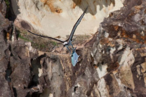 North Stradbroke Island Private Tour With Pickup - Tourism TAS 2