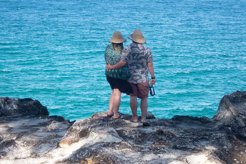 North Stradbroke Island Private Tour With Pickup - Tourism TAS 4