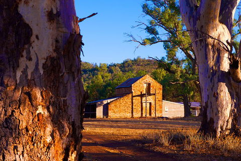 Yura Udnyu - Our Culture, Your Culture (Aboriginal Cultural Walk) - Tourism TAS 4