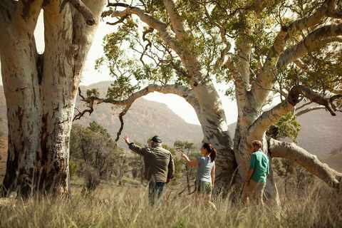 Yura Udnyu - Our Culture, Your Culture (Aboriginal Cultural Walk) - Tourism TAS 5