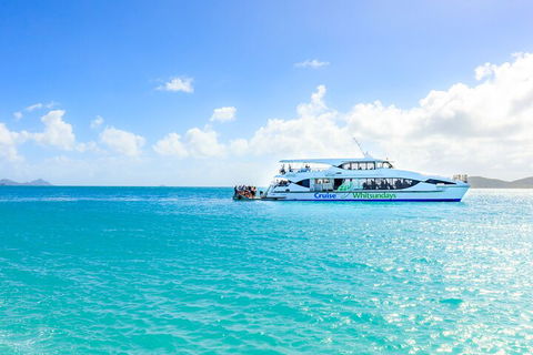 Whitehaven Beach And Daydream Island Cruise - Tourism TAS 2