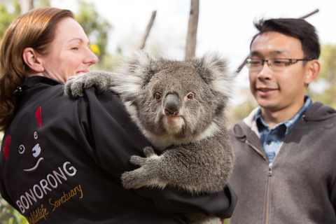 Bonorong Wildlife Park And Richmond Afternoon Tour From Hobart - Hobart Tourism 0