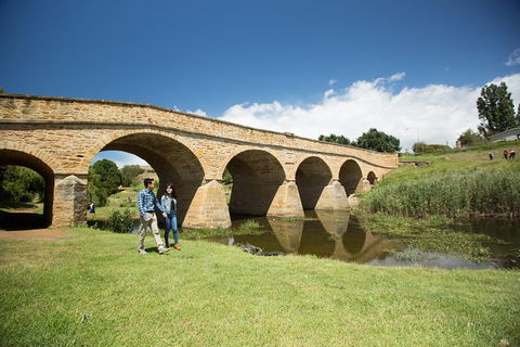 Bonorong Wildlife Park And Richmond Afternoon Tour From Hobart - Hobart Tourism 2