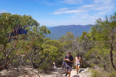 Blue Mountains Unique Small-Group Day Adventure With BBQ Lunch - Hobart Tourism 3