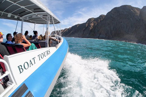 Southern Ocean Adventure From Victor Harbor - Tourism TAS 0