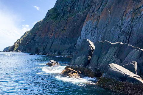 Southern Ocean Adventure From Victor Harbor - Tourism TAS 3