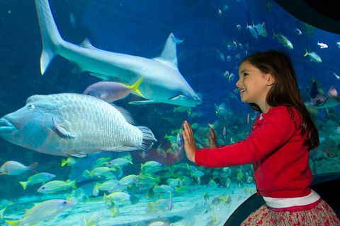 Melbourne BIG Ticket - LEGOLAND Discovery And SEA LIFE Melbourne - Tourism TAS 1