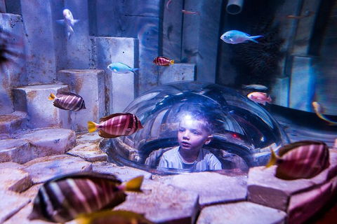 Melbourne BIG Ticket - LEGOLAND Discovery And SEA LIFE Melbourne - Tourism TAS 5
