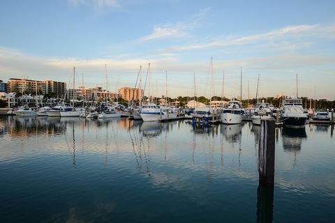Darwin Shore Excursion: Hop-on Hop-off Bus Tour - Tourism TAS 2