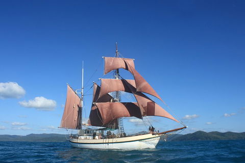 Sydney Harbour Tall Ship Whale & Sail - Whale Watching Cruise - Tourism TAS 1