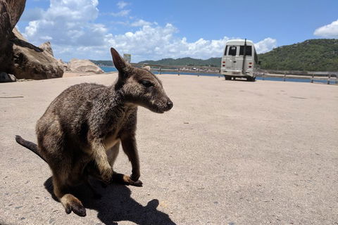Magnetic Island Tour: Maggie Comprehensive - Tourism TAS 0