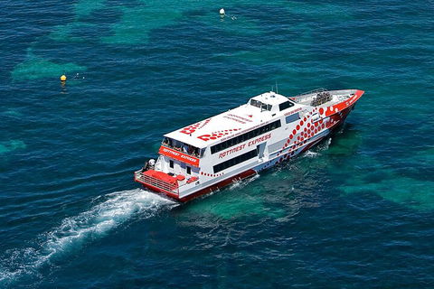 Discover Rottnest With Ferry & Bus Tour From Perth Or Fremantle - Hobart Tourism 3