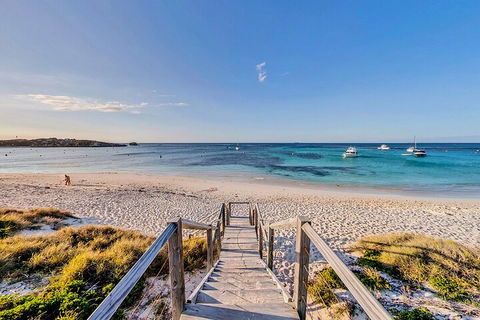 Discover Rottnest With Ferry & Bus Tour From Perth Or Fremantle - Hobart Tourism 4