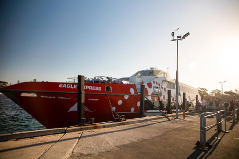 Rottnest Island Round-Trip Ferry From Perth Or Fremantle - Hobart Tourism 2