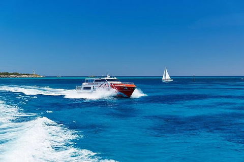 Rottnest Island Round-Trip Ferry From Perth Or Fremantle - Hobart Tourism 4