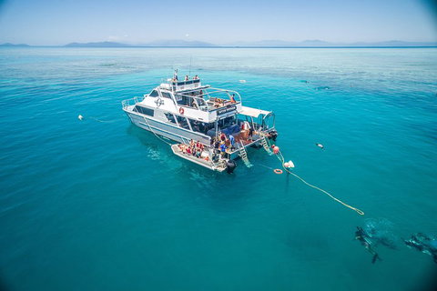 Ocean Freedom Great Barrier Reef Personal Luxury Snorkel & Dive Cruise, Cairns - Hobart Tourism 0