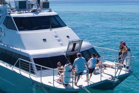 Ocean Freedom Great Barrier Reef Personal Luxury Snorkel & Dive Cruise, Cairns - Hobart Tourism 1