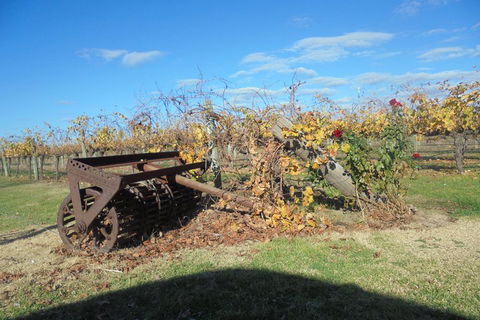 Swan Valley Tour From Perth: Wine, Beer And Chocolate Tastings - Hobart Tourism 3