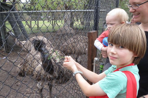 Swan Valley Half-Day Food Tour And Wine Trail From Perth - Hobart Tourism 5
