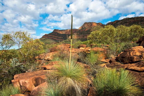 6-Day Eyre Peninsula & Flinders Ranges Adventure Tour - Tourism TAS 1