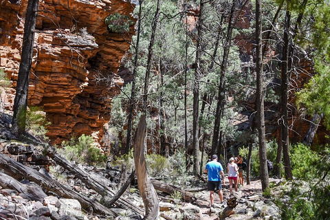 6-Day Eyre Peninsula & Flinders Ranges Adventure Tour - Tourism TAS 5