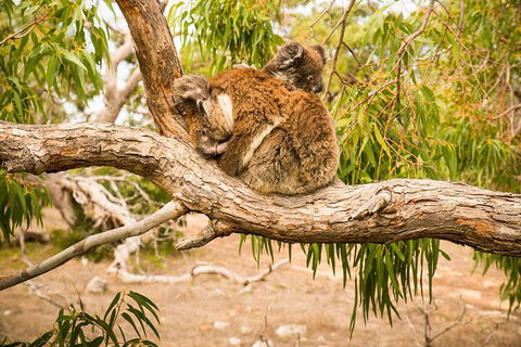 10 Day Perth To Adelaide Private Tour - The Great Australian Wilderness Journey - Hobart Tourism 4