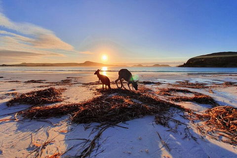 10-Day Perth To Adelaide Adventure Tour - Hobart Tourism 1