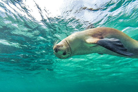 10-Day Adelaide To Perth Adventure Tour - Tourism TAS 1