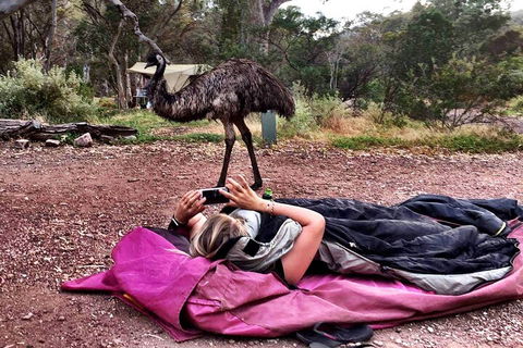 6 Day Esperance & Margaret River Adventure Tour - Hobart Tourism 5