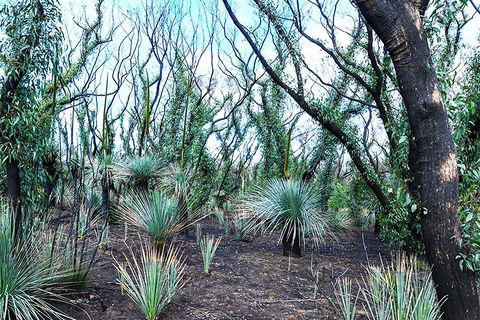 NEW TOUR - Kangaroo Island Road To Recovery Tour (1 Day/1 Night) - Tourism TAS 3