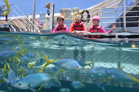 Outer Reef Pontoon Experience From Cairns - Tourism TAS 0