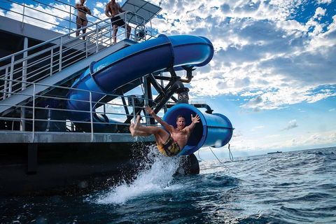 Outer Reef Pontoon Experience From Cairns - Tourism TAS 3