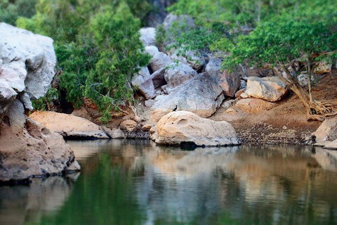 Windjana Gorge And Tunnel Creek 4WD Tour From Broome - Tourism TAS 5