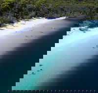 All-Inclusive Fraser Island Day Tour - Tourism TAS