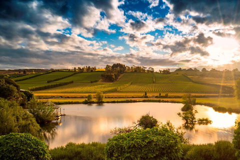Josef Chromy Wines Winery Tour Including Tasting And Lunch - Tourism TAS 3