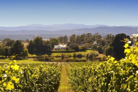 Josef Chromy Wines Winery Tour Including Tasting And Lunch - Tourism TAS 4