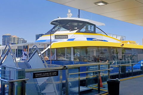 Brisbane City Essentials Walking Tour - Hobart Tourism 3