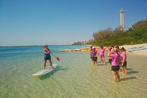 Golden Beach 1-Hour Stand-Up Paddleboard Hire On The Sunshine Coast - Tourism TAS 1