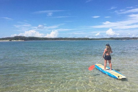 Golden Beach 1-Hour Stand-Up Paddleboard Hire On The Sunshine Coast - Tourism TAS 4
