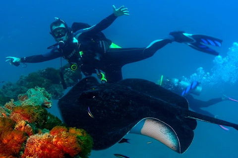 Scuba Dive The S.S. Yongala Wreck On The Great Barrier Reef. - Tourism TAS 0