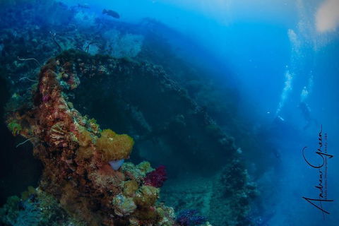 Scuba Dive The S.S. Yongala Wreck On The Great Barrier Reef. - Tourism TAS 3